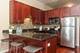 1464 S Michigan Unit 503, Chicago, IL 60605