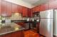 1464 S Michigan Unit 503, Chicago, IL 60605
