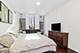 1400 S Michigan Unit 1703, Chicago, IL 60605