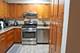 725 W Dempster Unit 308, Des Plaines, IL 60016