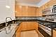 310 S Michigan Unit 1013, Chicago, IL 60604