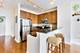 1901 S Calumet Unit 1206, Chicago, IL 60616