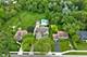 1726 Kay, Wheaton, IL 60187