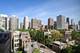 70 W Burton Unit 705, Chicago, IL 60610