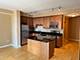 1250 S Indiana Unit 605, Chicago, IL 60605