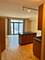 1250 S Indiana Unit 605, Chicago, IL 60605