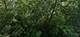 22172 W Spruce, Antioch, IL 60002