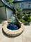 7304 W 108th, Worth, IL 60482