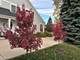 608 Cadillac, Wheaton, IL 60187