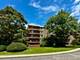 16 E Old Willow Unit 433-S, Prospect Heights, IL 60070