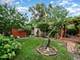 3109 Clarence, Berwyn, IL 60402