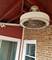 2315 N Merrimac Unit 2, Chicago, IL 60639