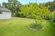 921 S Iowa, Addison, IL 60101