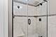 4250 N Marine Unit 1029, Chicago, IL 60613