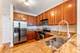 1600 S Prairie Unit 1105, Chicago, IL 60616