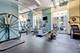 1305 S Michigan Unit 1506, Chicago, IL 60605