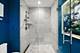1626 S Prairie, Chicago, IL 60616