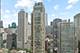 25 E Superior Unit 3601, Chicago, IL 60611