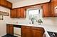 19 W Hattendorf, Roselle, IL 60172