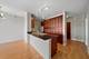 1255 S State Unit 1006, Chicago, IL 60605