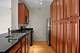 1255 S State Unit 1006, Chicago, IL 60605