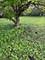 13526 S Kedzie, Robbins, IL 60472
