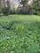 13526 S Kedzie, Robbins, IL 60472
