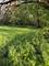 13523 S Sawyer, Robbins, IL 60472