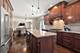 17320 Elk, Orland Park, IL 60467
