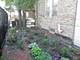 2330 W Thomas, Chicago, IL 60622