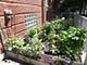 2330 W Thomas, Chicago, IL 60622