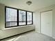 222 E Pearson Unit 1206, Chicago, IL 60611