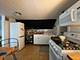 1831 S Laflin Unit 2, Chicago, IL 60608