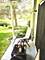 1947 N Brice Unit 2, Palatine, IL 60074