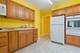 193 Fellows, Elmhurst, IL 60126