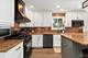 1645 Blackburn, Mundelein, IL 60060
