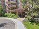 720 Wellington Unit 509, Elk Grove Village, IL 60007