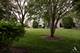 10079 Cummings, Huntley, IL 60142