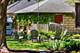 23 N Columbia, Naperville, IL 60540