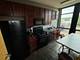 1071 W 15th Unit 309, Chicago, IL 60608