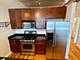 1071 W 15th Unit 309, Chicago, IL 60608