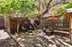 560 W Arlington, Chicago, IL 60614