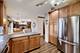 196 Constitution, Bloomingdale, IL 60108