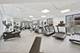 950 N Michigan Unit 3805, Chicago, IL 60611