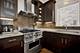 1520 W Diversey Unit 3, Chicago, IL 60614