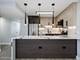 3950 N Lake Shore Unit 2125, Chicago, IL 60613