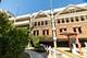 1113 Holley Unit 311, Oak Park, IL 60301