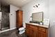 5536 Middaugh, Downers Grove, IL 60516