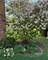 1573 Clemson, Naperville, IL 60565
