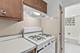 938 Ontario Unit 10, Oak Park, IL 60302